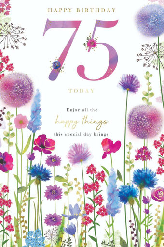 Picture of HAPPY BIRTHDAY 75 TODAY CARD